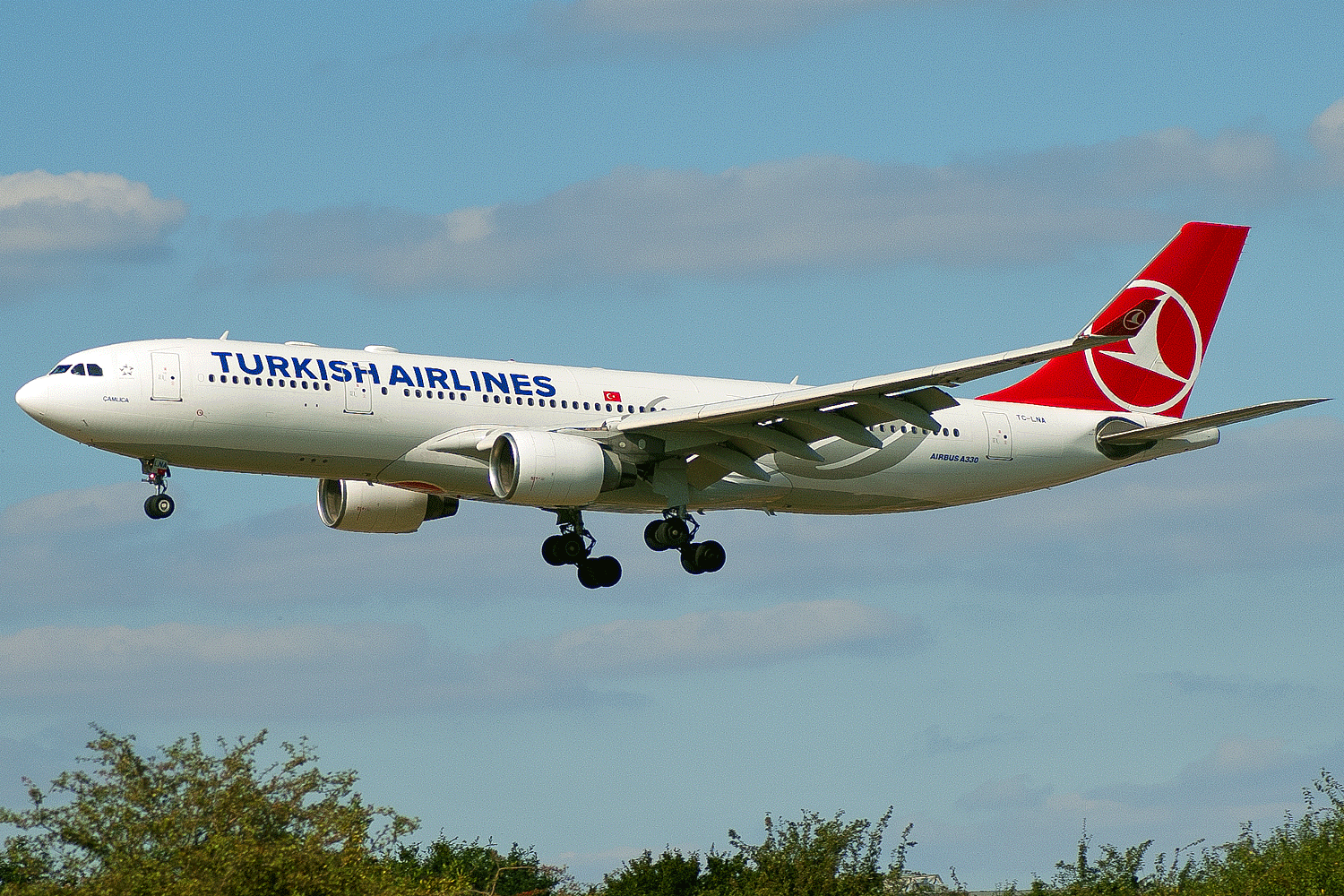 TC-LNA A330 Turkish Airlines (LHR)