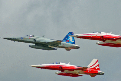 J-3038 F-5E FSt.19 Switzerland